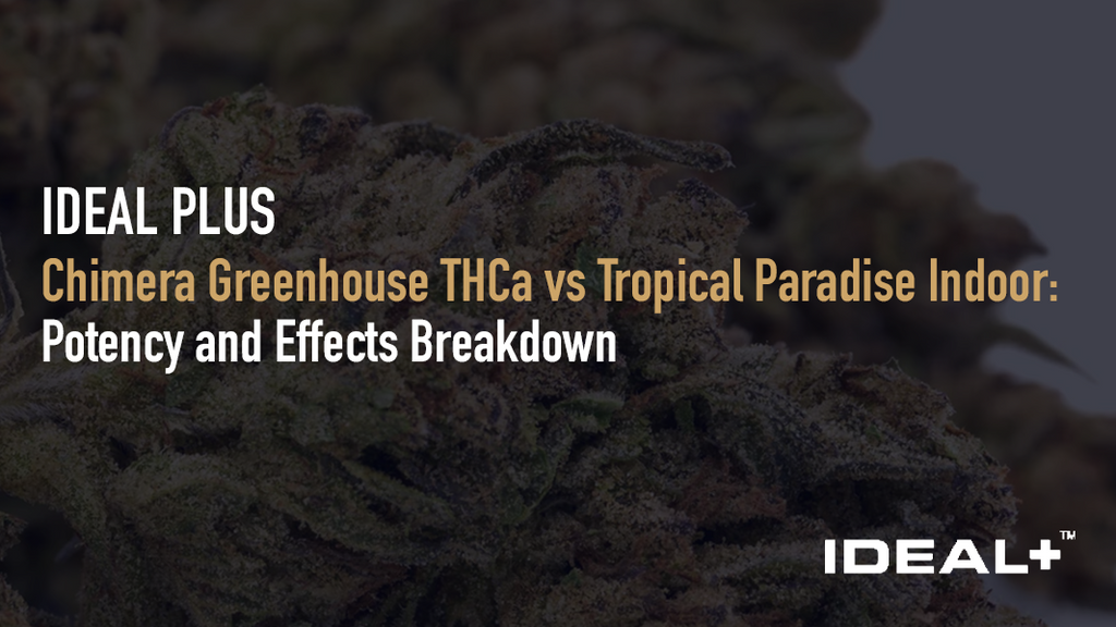 Chimera Greenhouse THCa vs Tropical Paradise Indoor
