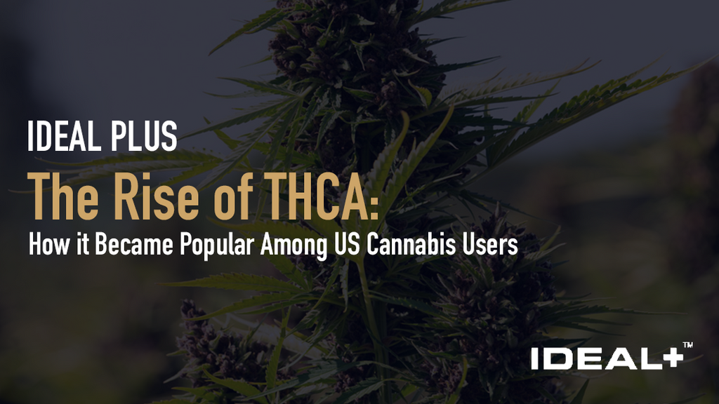 How it Became Popular Among US Cannabis Users