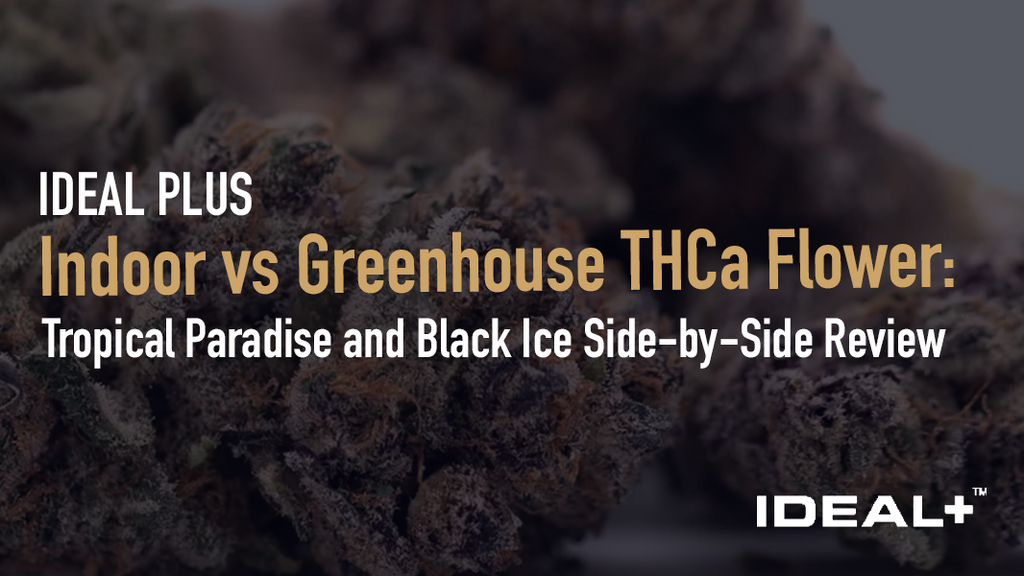 Indoor vs Greenhouse THCa Flower