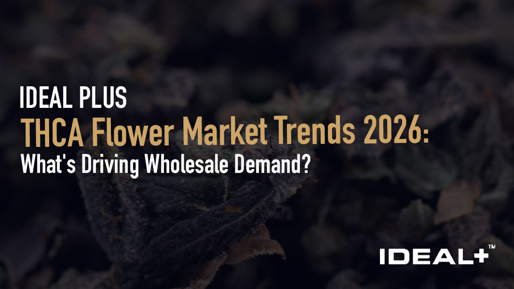 Explore THCA flower market trends 2026 — what's driving wholesale demand, pricing benchmarks, top strains, and how to find a compliant THCA wholesale supplier.