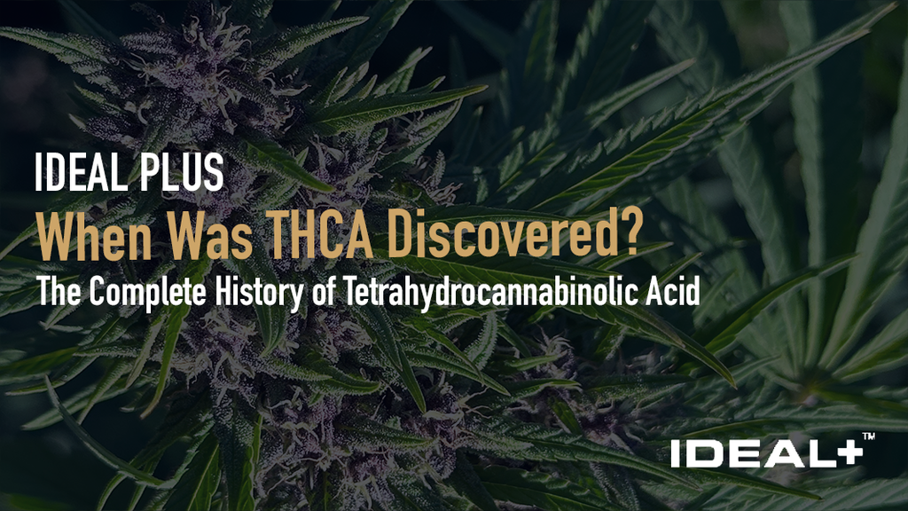 When Was THCA Discovered?