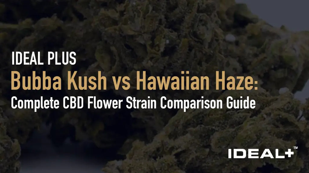 Bubba Kush vs Hawaiian Haze: Complete CBD Flower Strain Comparison Guide