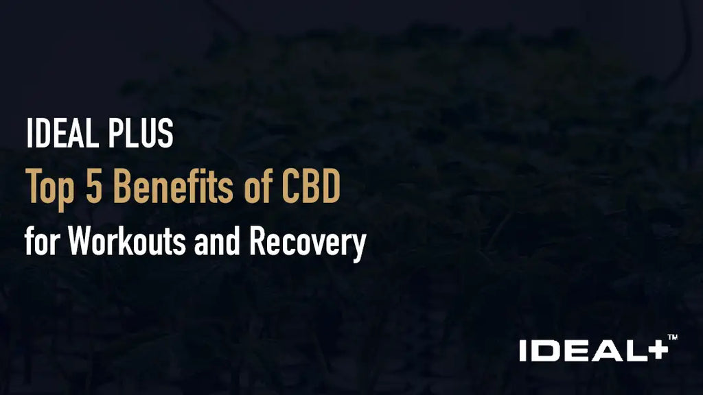 Top 5 Benefits of CBD for Workouts and Recovery