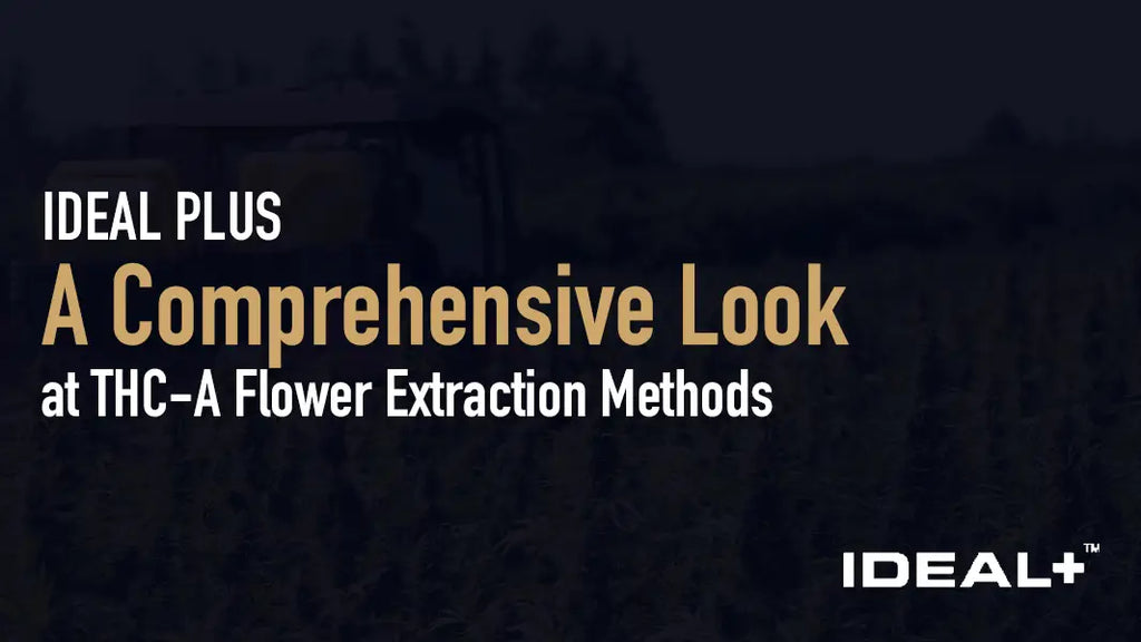A Comprehensive Look at THC-A Flower Extraction Methods