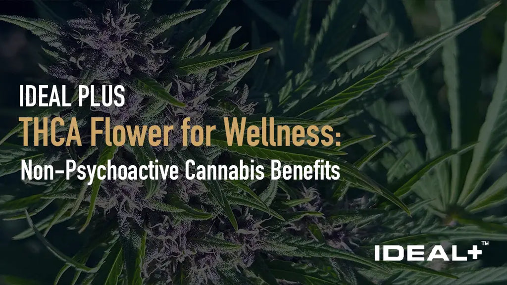 THCA Flower for Wellness