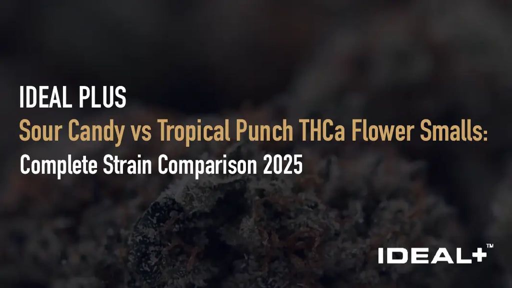 Sour Candy vs Tropical Punch THCa Flower Smalls: