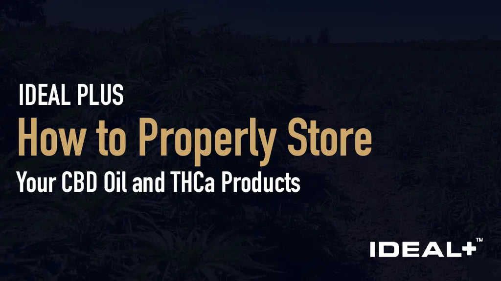 How to Properly Store Your CBD Oil and THCa Products