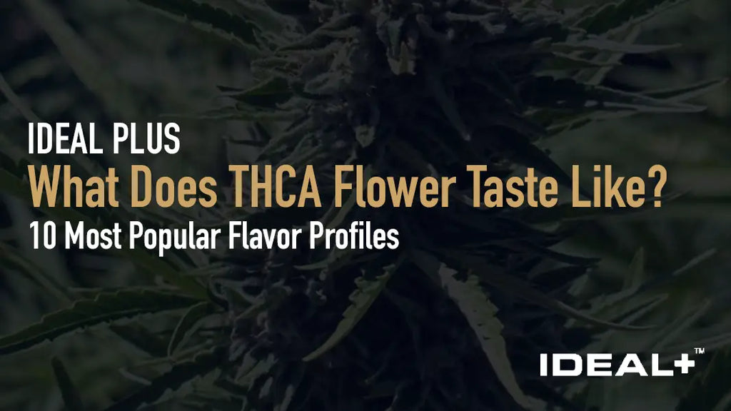 What Does THCA Flower Taste Like?