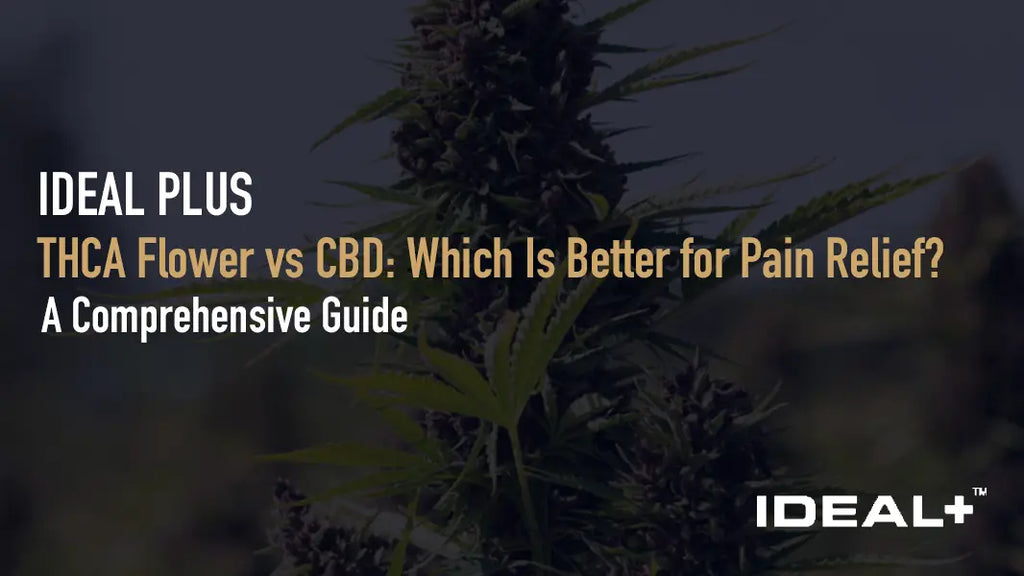 THCA Flower vs CBD