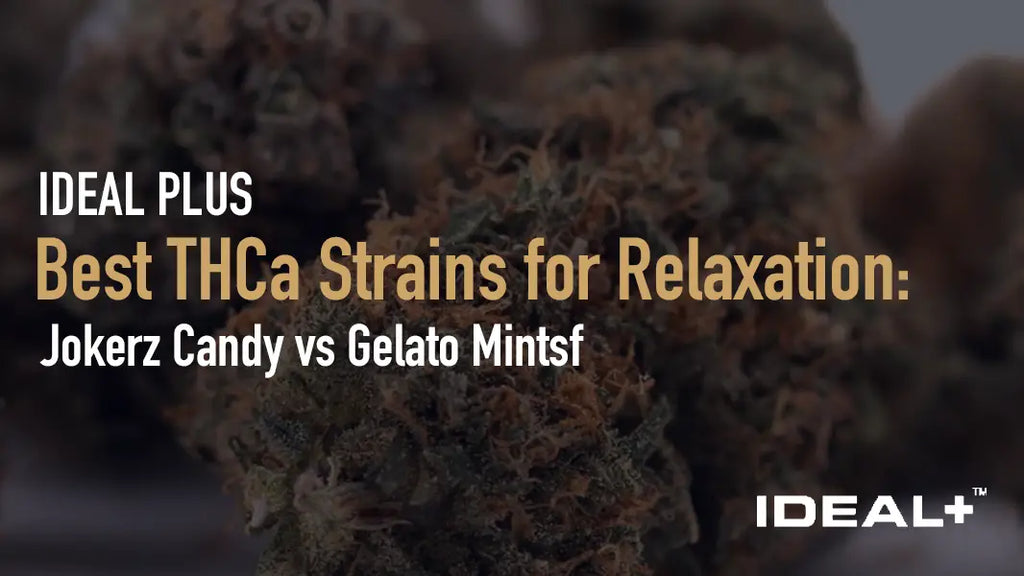 Best THCa Strains for Relaxation