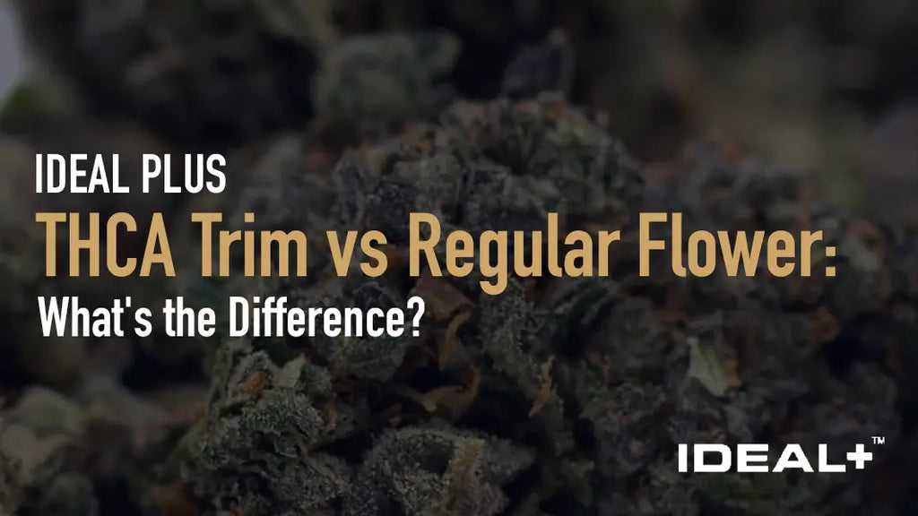THCA Trim vs Regular Flower
