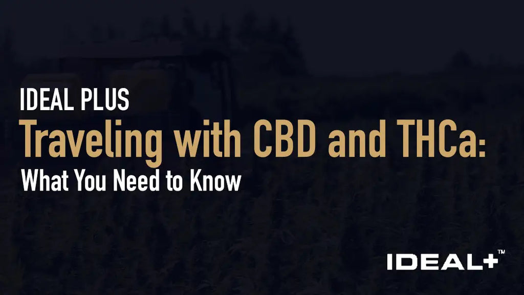 Traveling with CBD and THCa: What You Need to Know