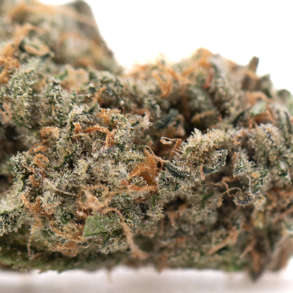 Alaskan Huckleberry Diesel Indoor THCa Flower