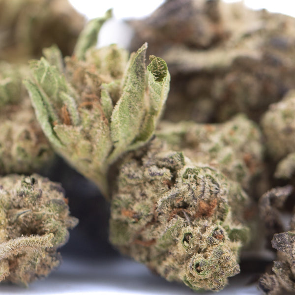 GAS THCa Flower Greenhouse Smalls