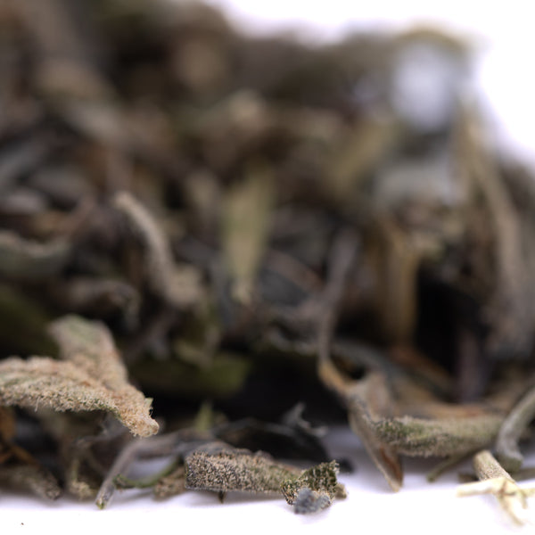 Gassa Purple Greenhouse THCa Trim Wholesale