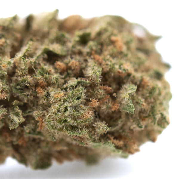 Humbolt Dream THCa Hemp Flower Greenhouse Smalls