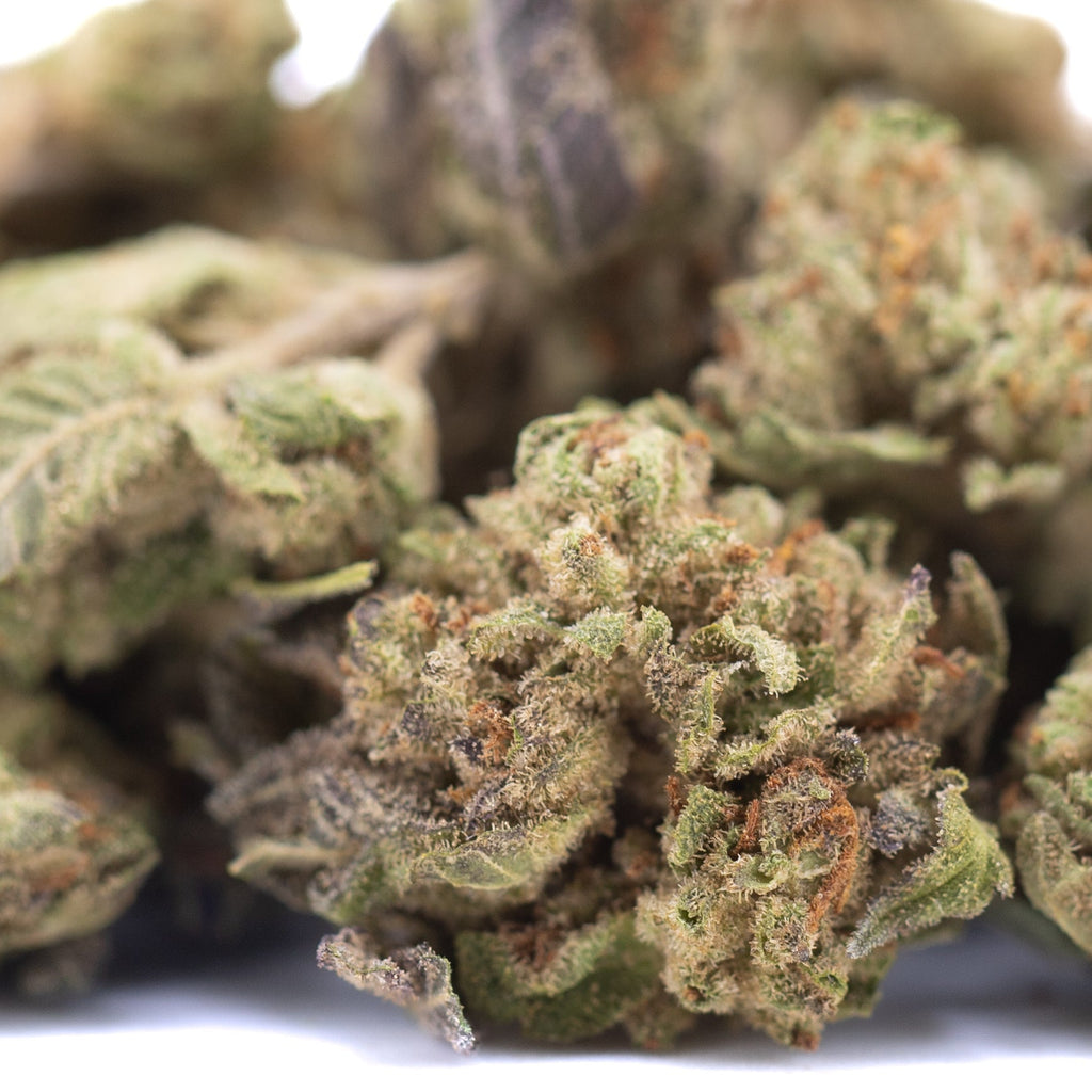 Jokerz NOS THCa Hemp Flower Greenhouse Smalls