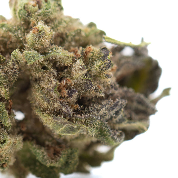 Jokerz NOS THCa Hemp Flower Greenhouse Smalls Wholesale