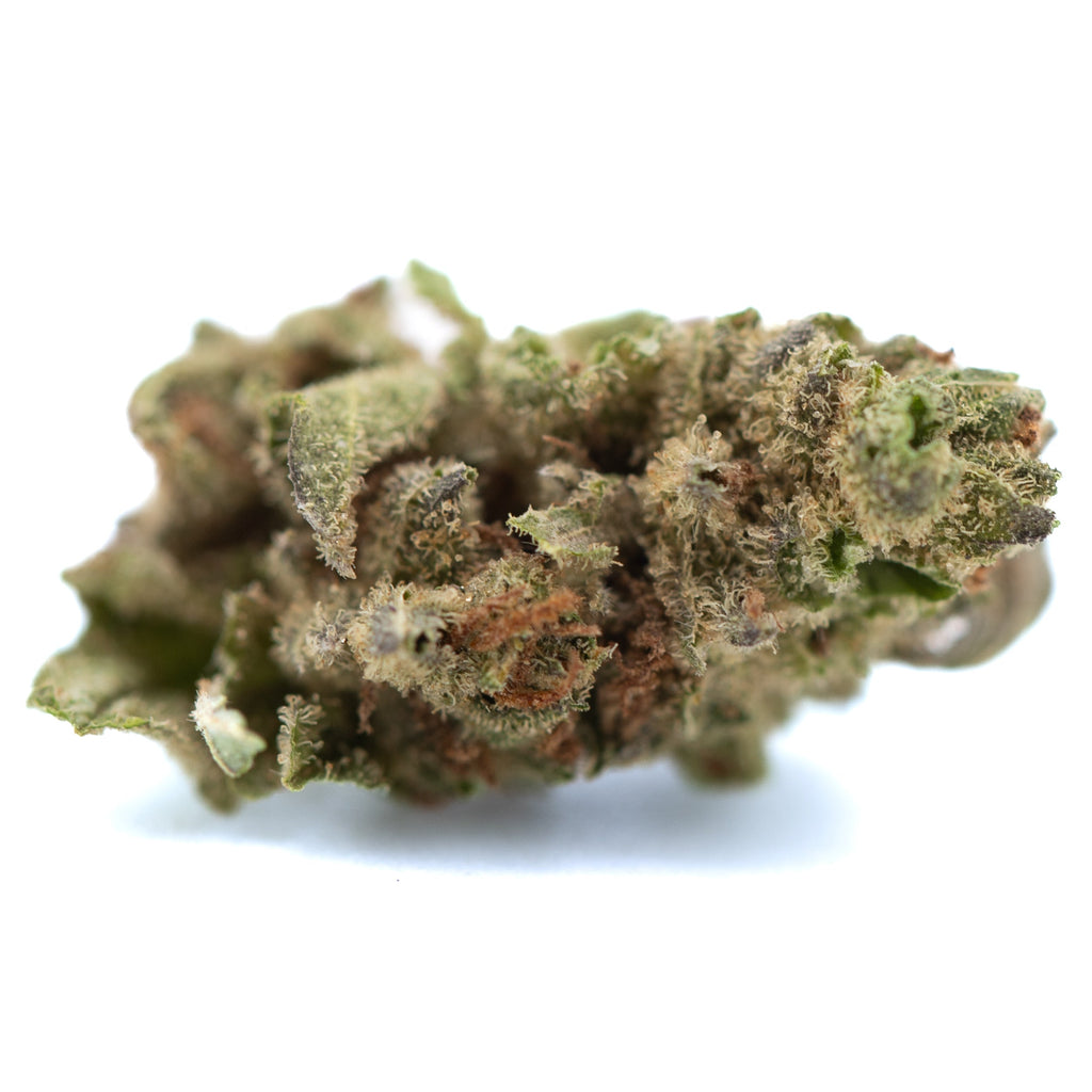 Moroccan Peach THCa Hemp Flower Greenhouse Smalls