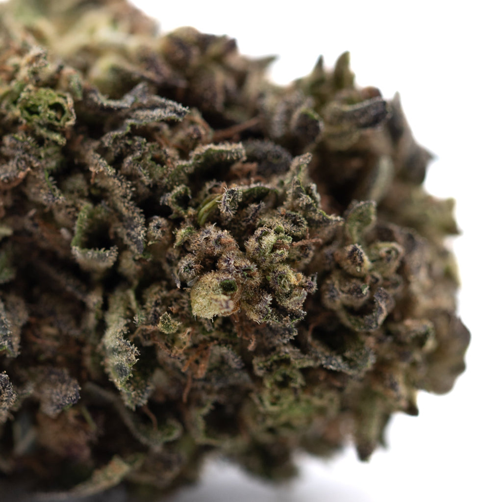 Orange Runtz THCa Hemp Flower Greenhouse