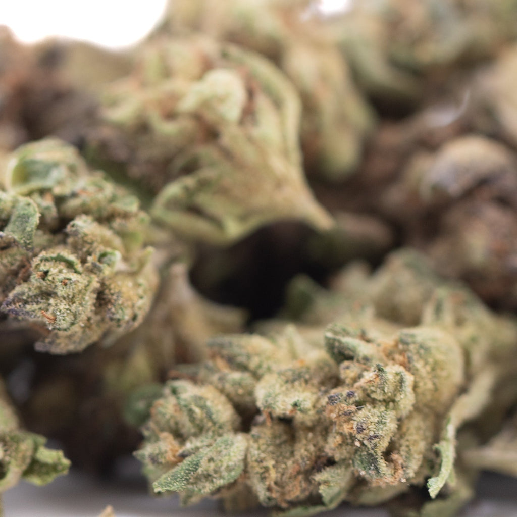 Poison Gushers THCa Hemp Flower Greenhouse Smalls