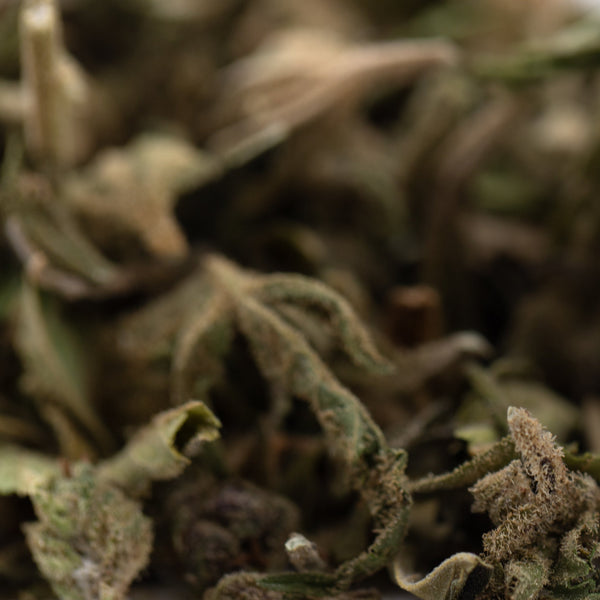 Pound Town Full-Term THCa Trim Wholesale