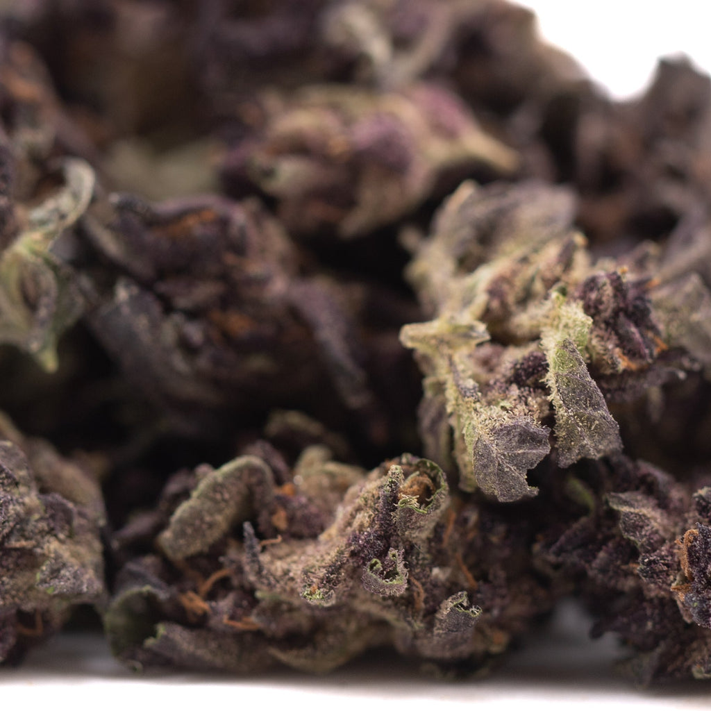 Purple Queen THCa Hemp Flower Greenhouse Smalls