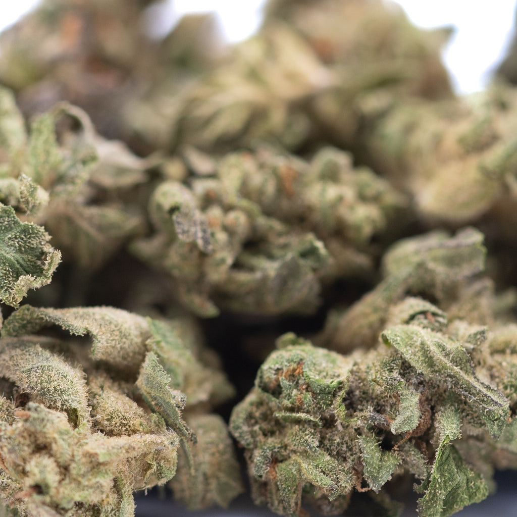 Rozay Cake THCa Hemp Flower Greenhouse Smalls Wholesale