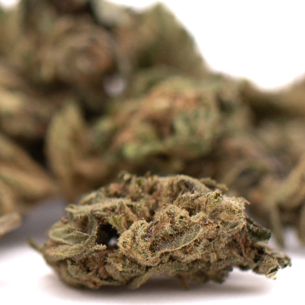 Sour Chem CBD Hemp Flower Full-Term Smalls
