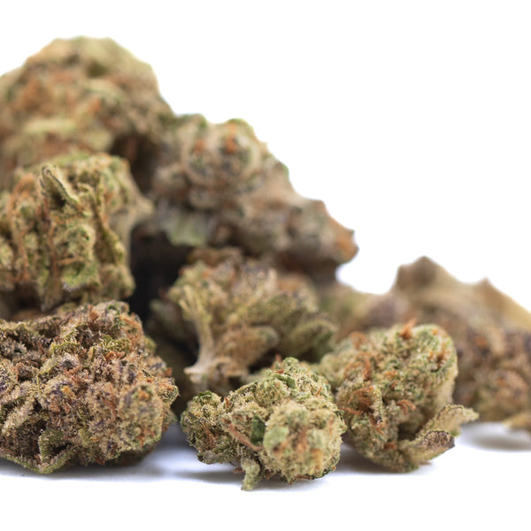 Studio 54 THCa Hemp Flower Greenhouse Smalls