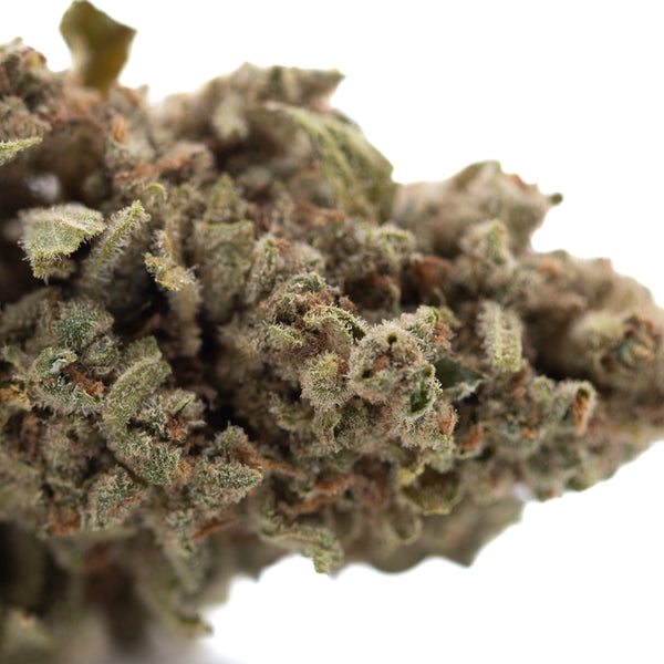 Turtle Taffy THCa Flower Full-Term