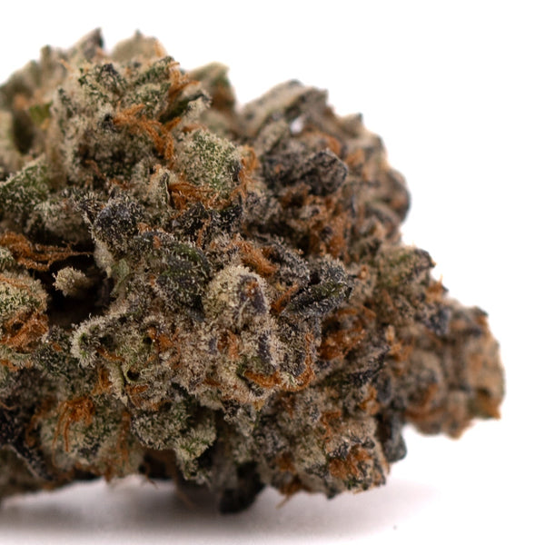 Dense cannabis bud of Blue Heron THCa Indoor Flower showcasing orchard swirl synergy