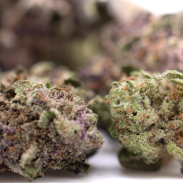 Premium Cali Burger THCa hemp flower smalls: purple green bud with trichomes