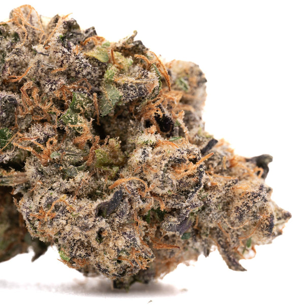 Cherry Vanilla Cookie Indoor THCa Flower - Plants