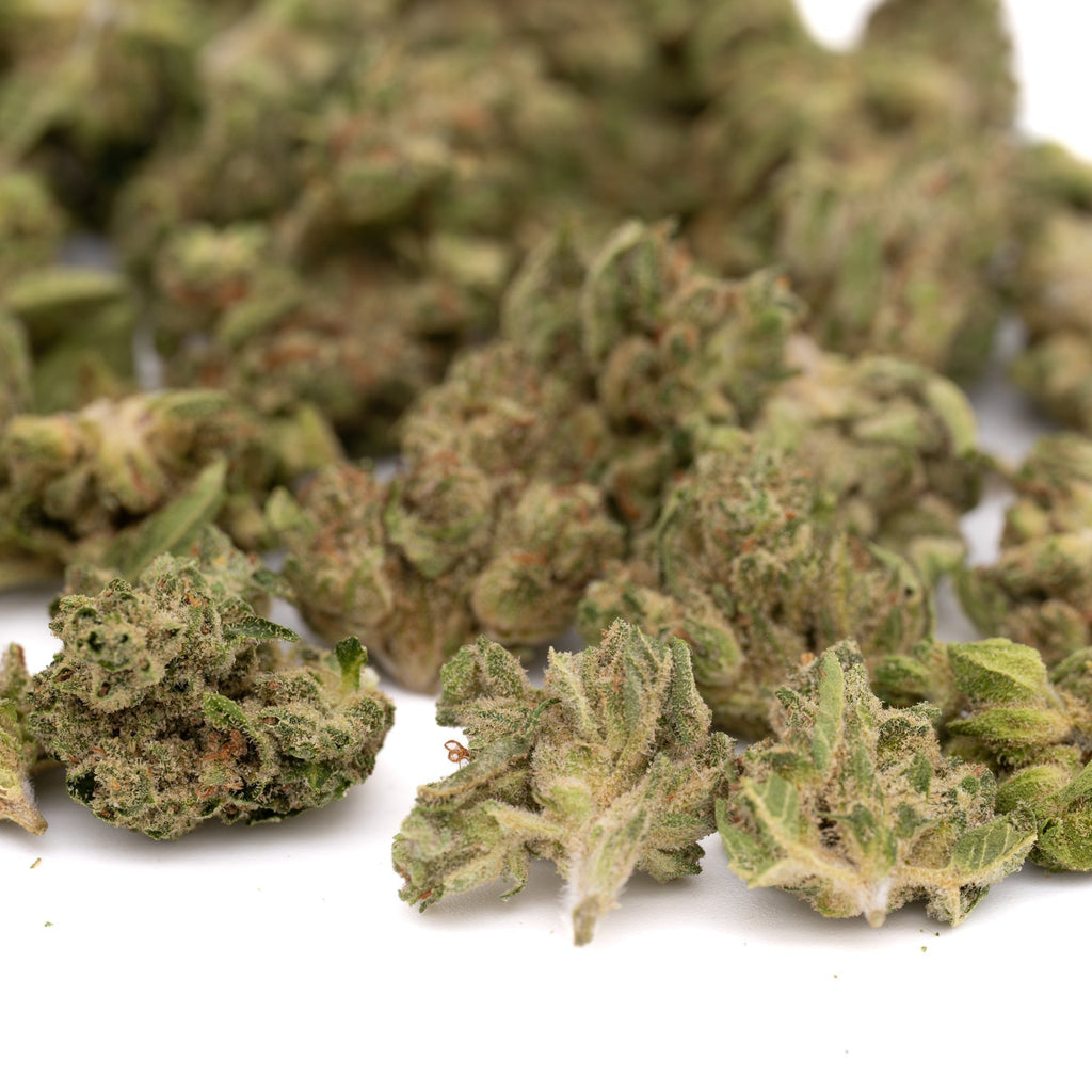 Ghost OG THCa Hemp Flower Smalls - Plants