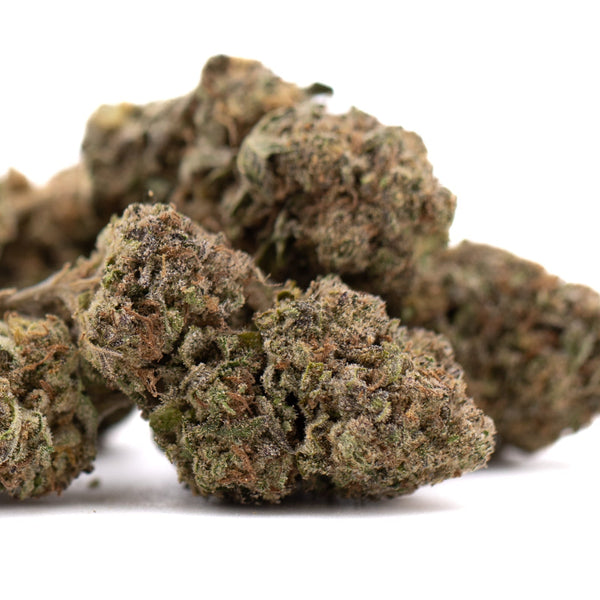 Marijuana bud from Government Oasis THCa Hemp Flower Greenhouse Wholesale product