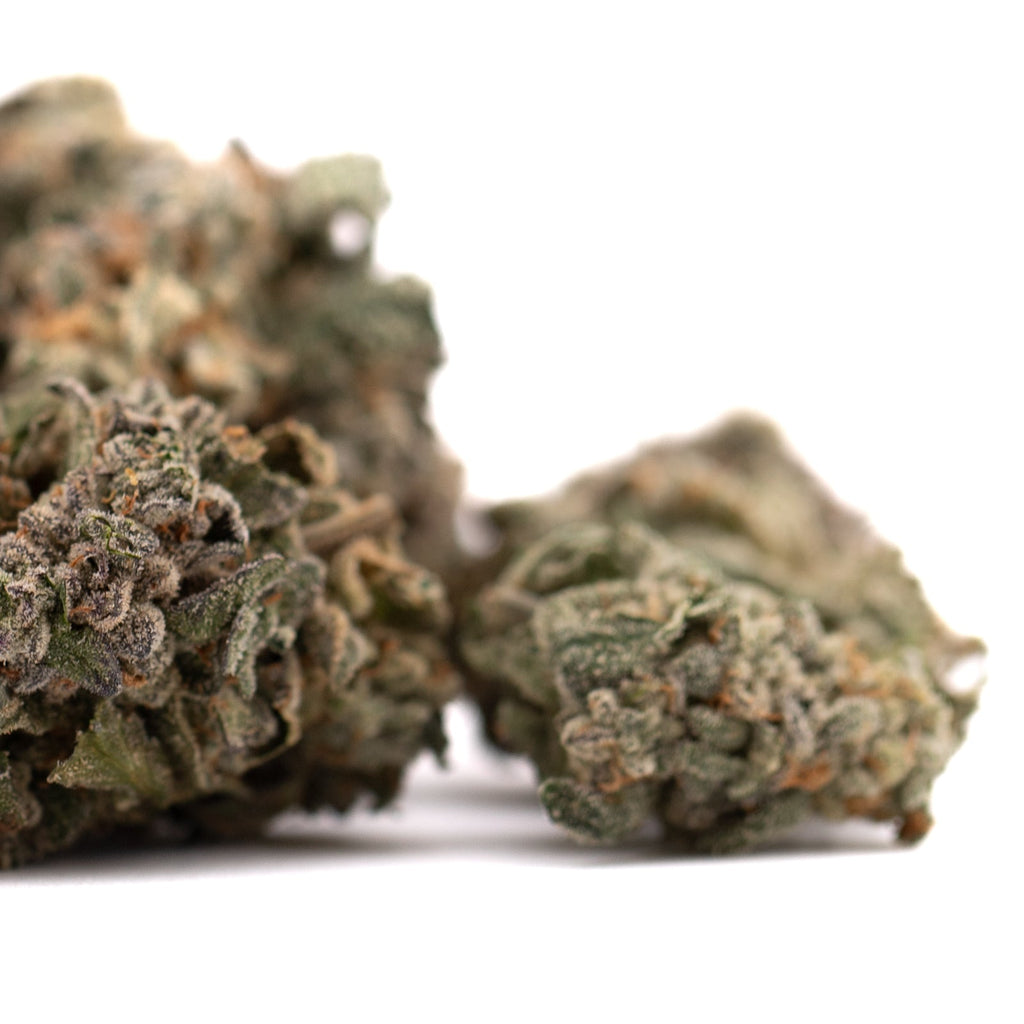 Two cannabis buds of Guava Z Indoor THCa Flower showcasing premium indoor THCa flower