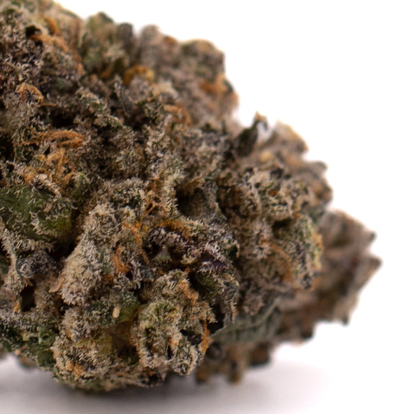 Dense cannabis flower with trichomes from Highlighter THCa Indoor Flower 5g, premium thca indoor flower