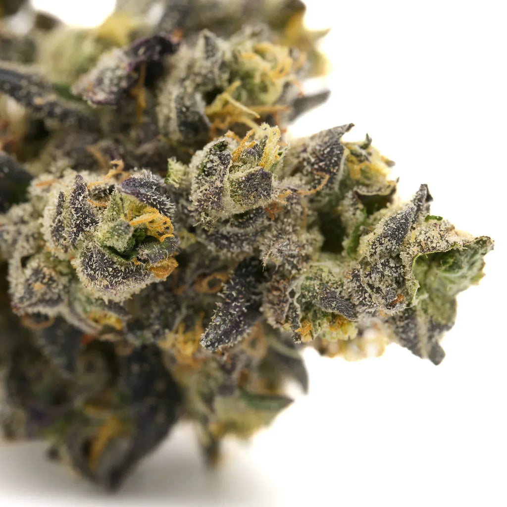 Dense cannabis bud with trichomes from Lung Buster Indoor THCa Flower Wholesale