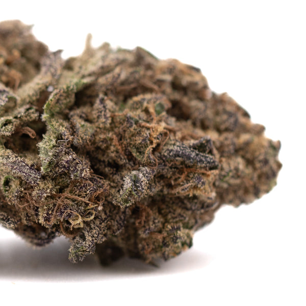 Lung Buster THCa hemp flower bud with green hues and trichomes