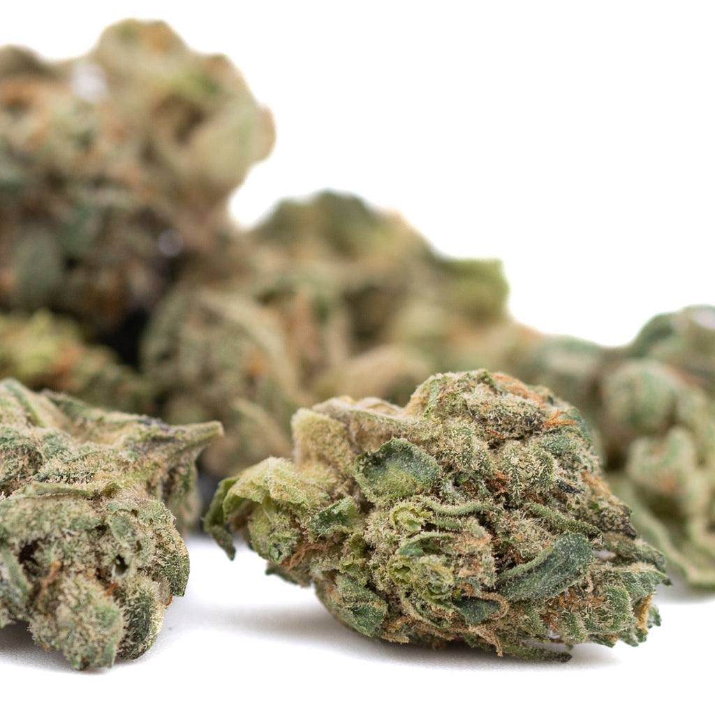 Cannabis flower buds of Maria’s Cookies Indoor THCa Flower Smalls hemp flower