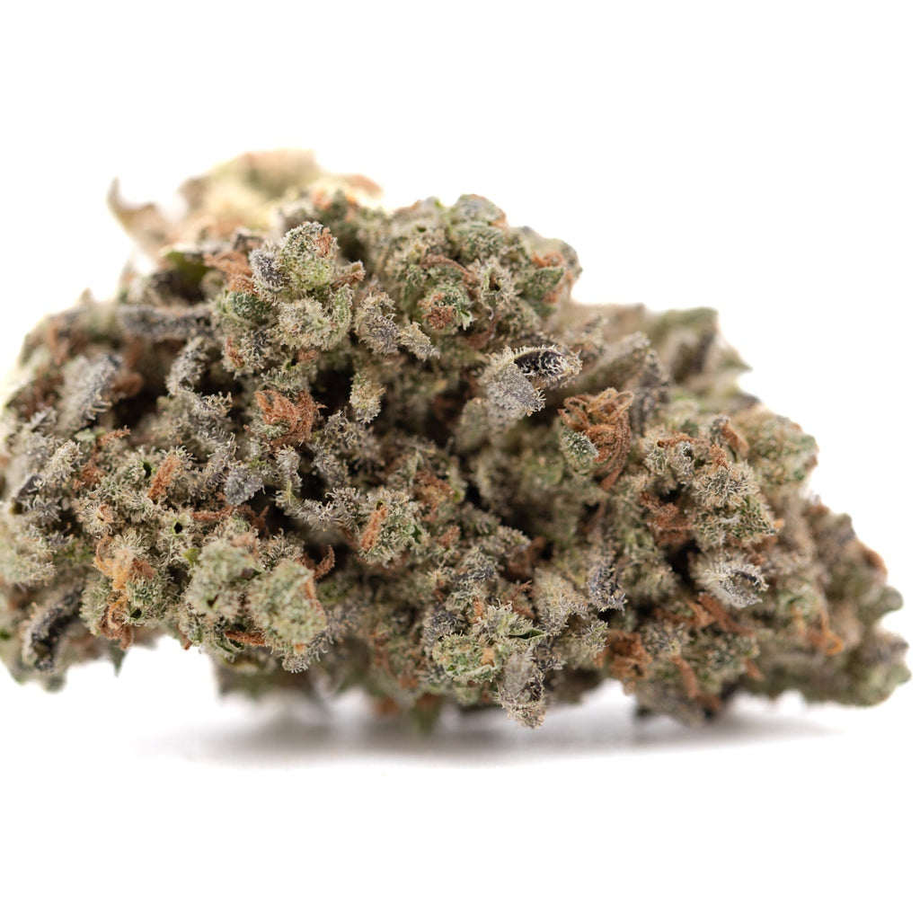 Mega Gummie Bearz THCa flower bud with green purple hues and white trichomes