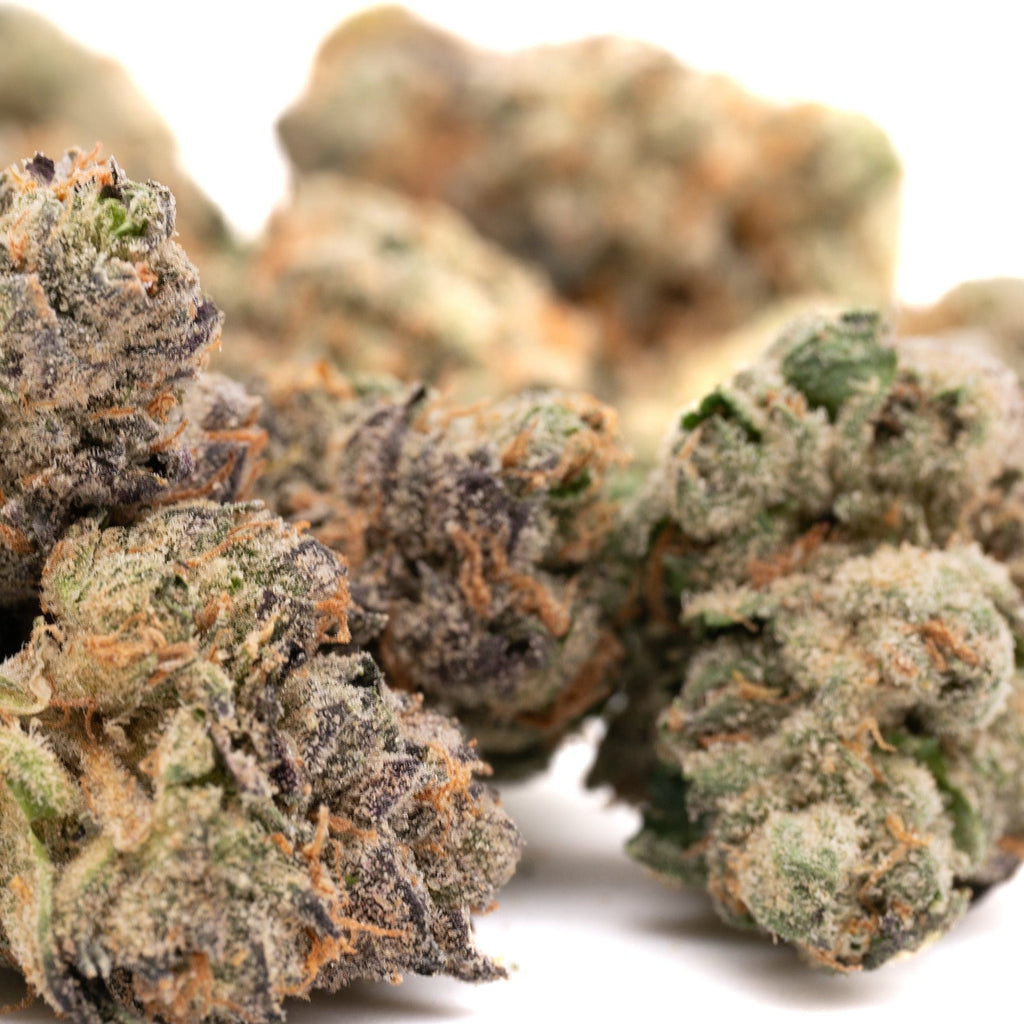 Oregon Huckleberry Indoor THCa Flower - Plants