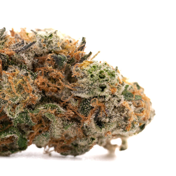 Oregon Huckleberry Indoor THCa Flower - Plants