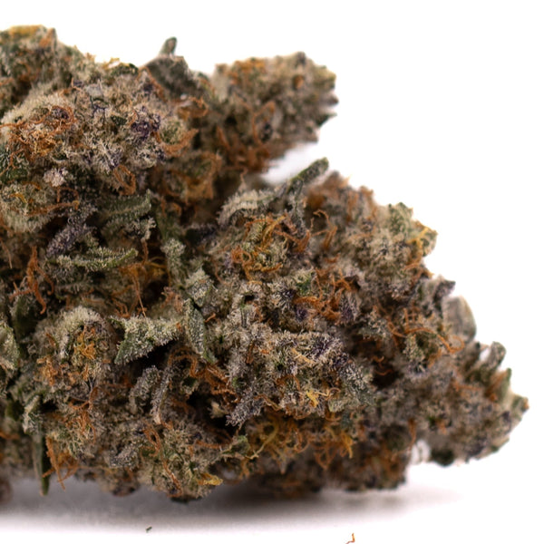 Peach Tree THCa Flower Indoor Hemp Flower with dense trichomes and vibrant orange pistils