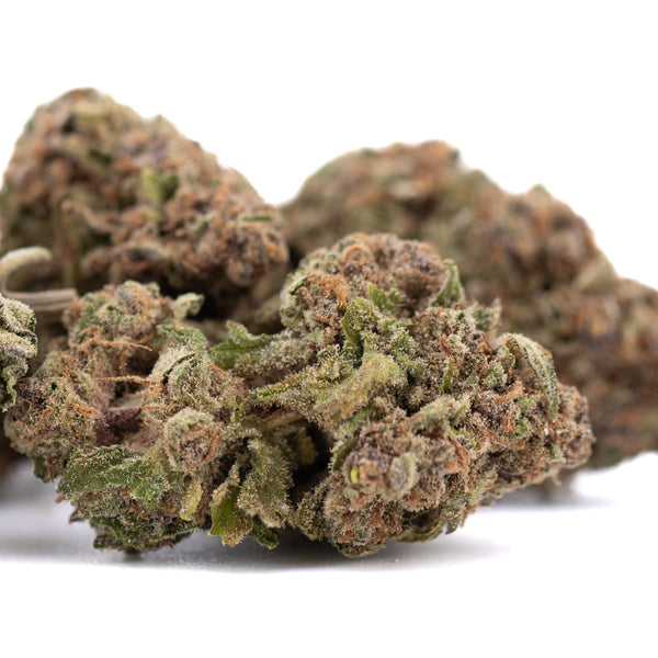Premium green and purple cannabis bud with trichomes from Pure Michigan THCa Hemp Flower