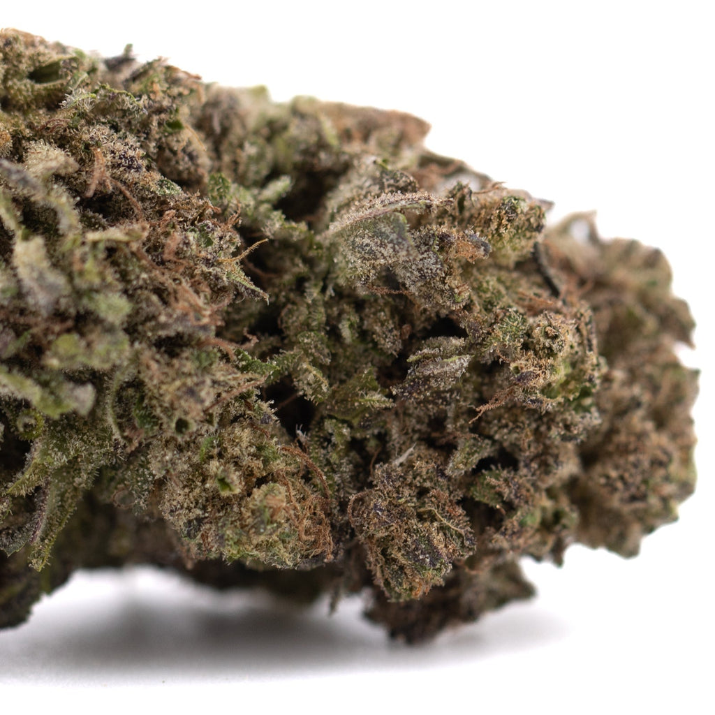 Green cannabis bud with white trichomes from Purple Marmalade THCa Hemp Flower greenhouse